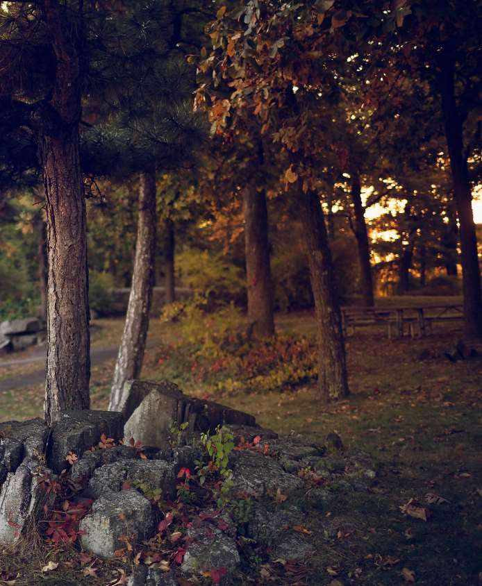 "MAKK Photography", Profesjonalny Fotograf - Zdjęcie 3