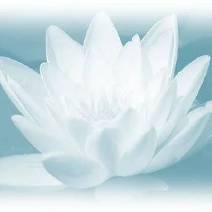 finding-serenity-znalezienie-spokoju-photo