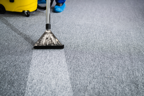 Anna, Pro Cleaning - Фото 3