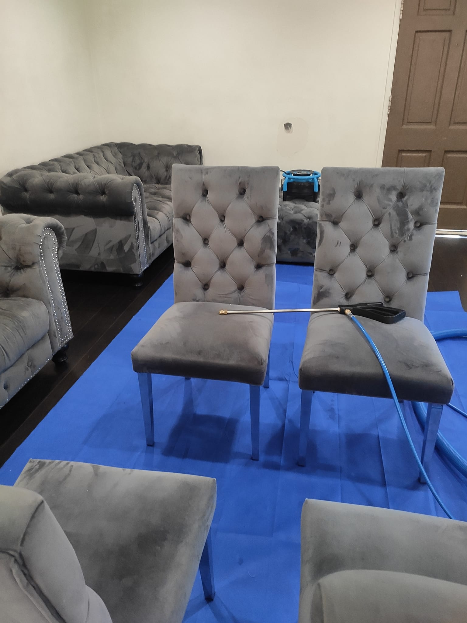Deep Wet Cleaning & Disinfection of Sofa, Mattress, Etc. - Фото 4