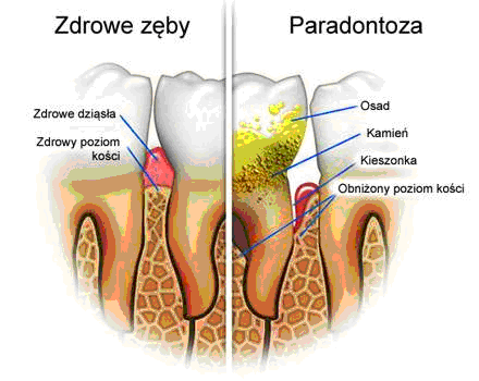 Metropolitan Dental - Zdjęcie 5