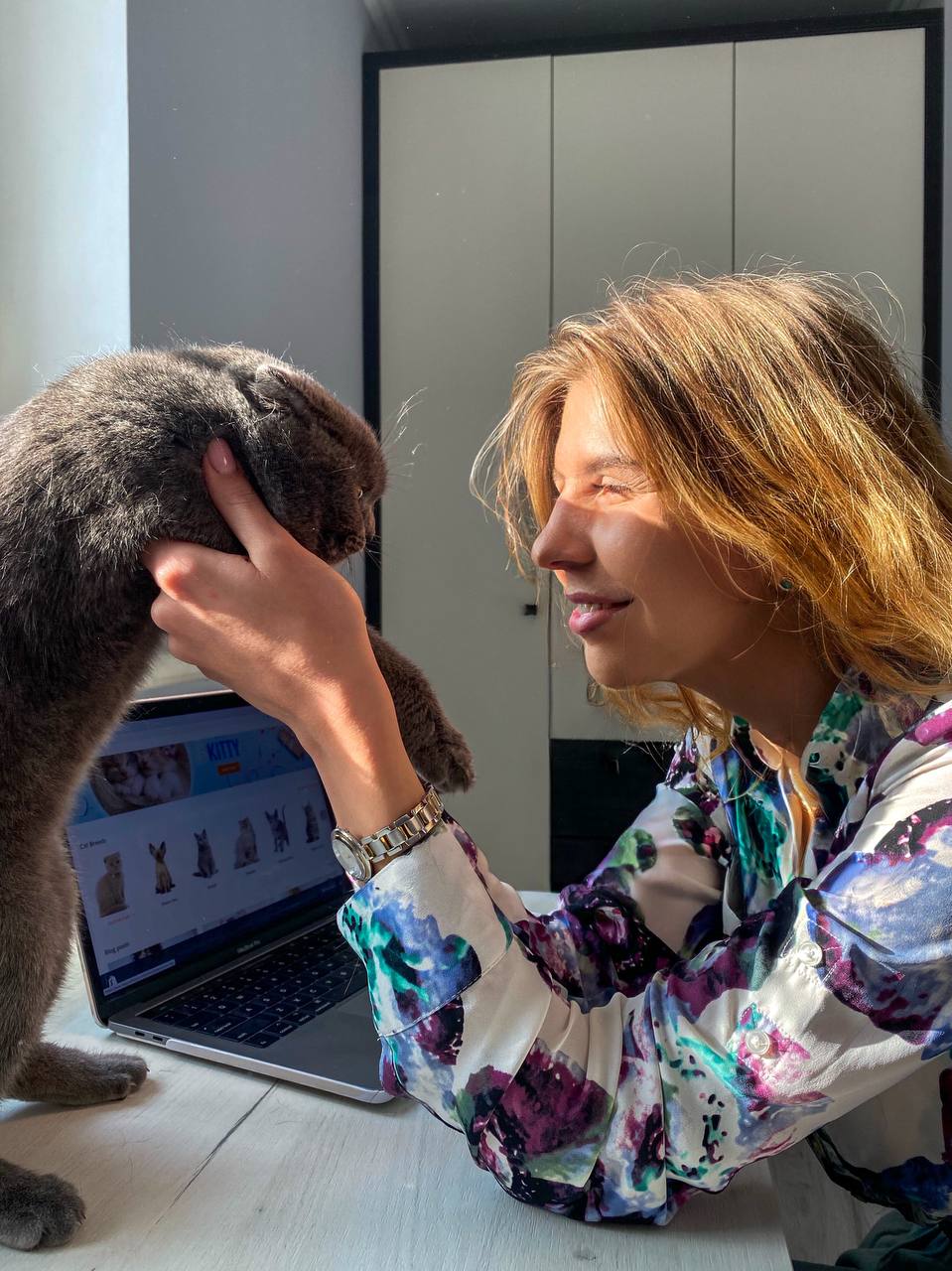 HappyPawsUS - это платформа породистых котят, которые ищут заботливых хозяев - Фото 3