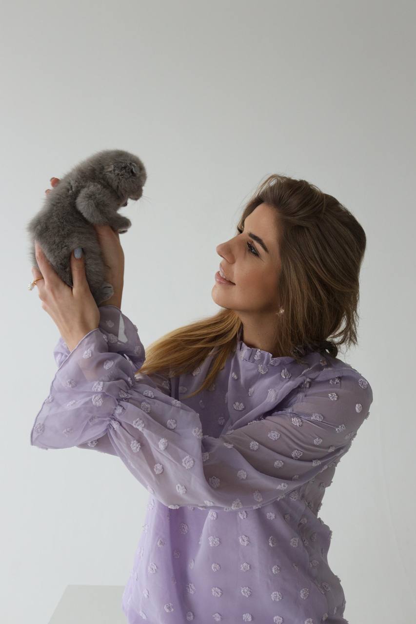 HappyPawsUS - это платформа породистых котят, которые ищут заботливых хозяев - Фото 11