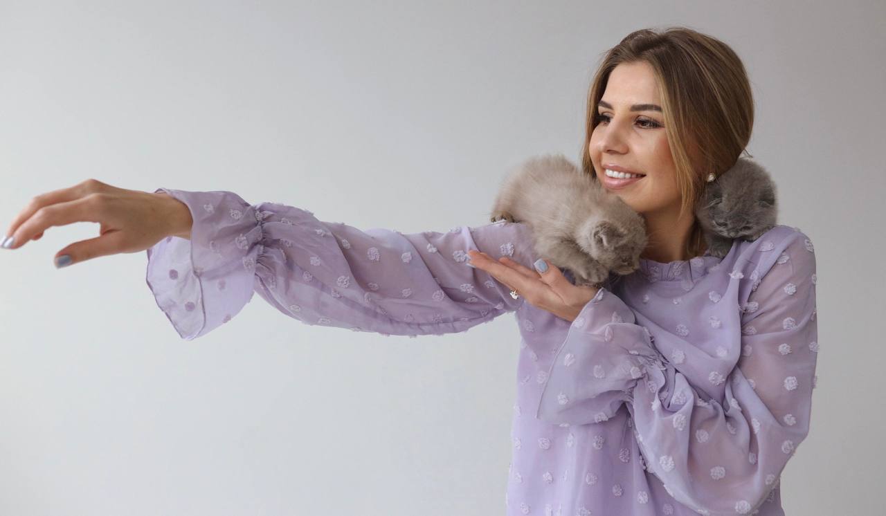 HappyPawsUS - это платформа породистых котят, которые ищут заботливых хозяев - Фото 13