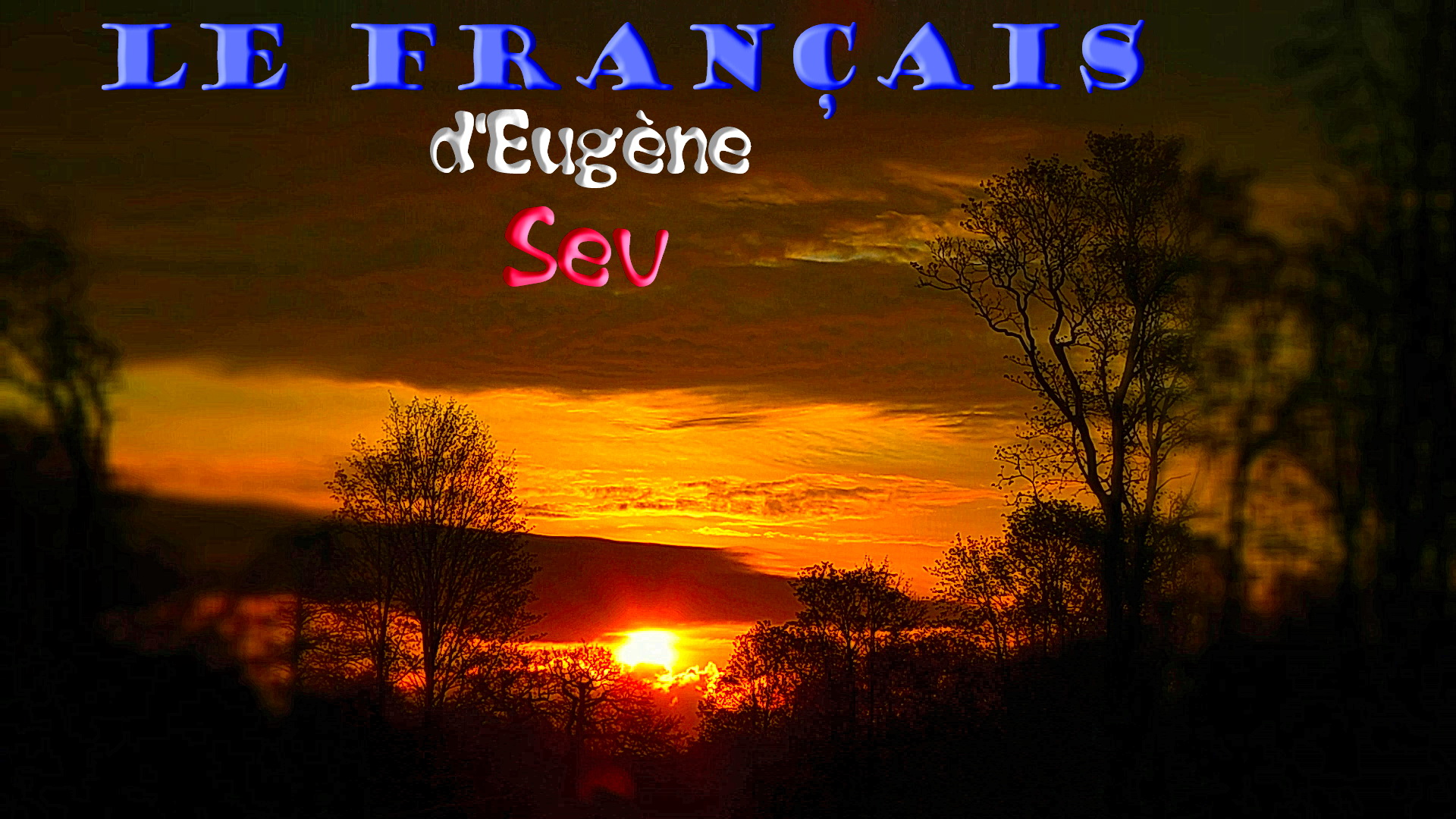 Французский язык. Le français. Индивидуально. Компетентно. Эффективно. - Фото 4