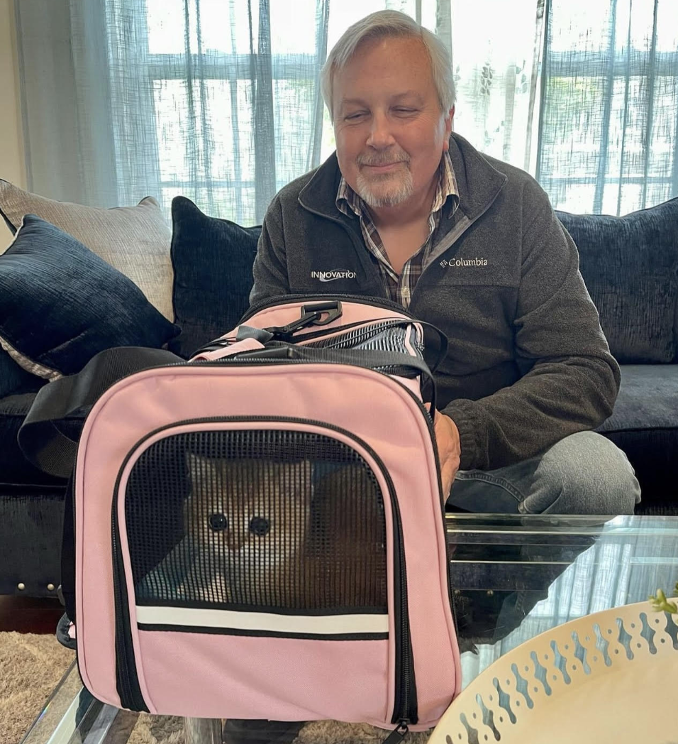 Luxury Kittens USA - Фото 5
