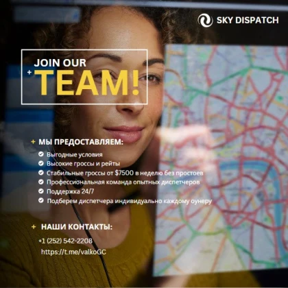 professionalynaya-uslugi-dispach-photo