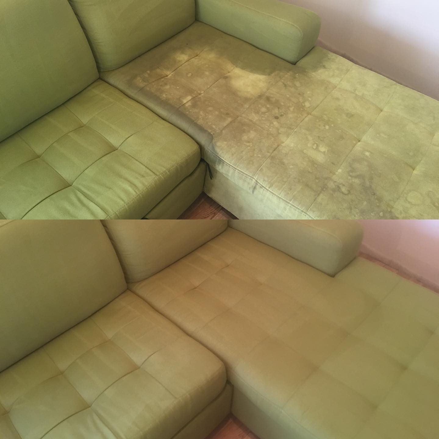 Upholstery & carpet cleaning Los Angeles - Фото 3
