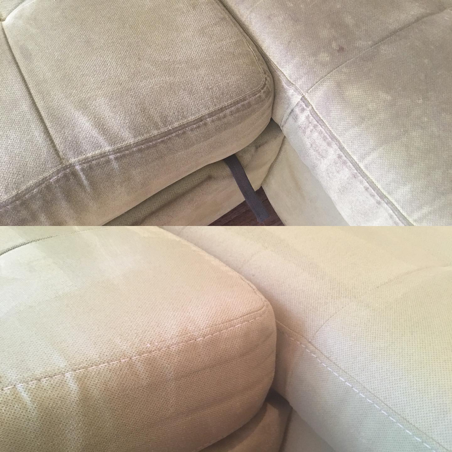 Upholstery & carpet cleaning Los Angeles - Фото 2