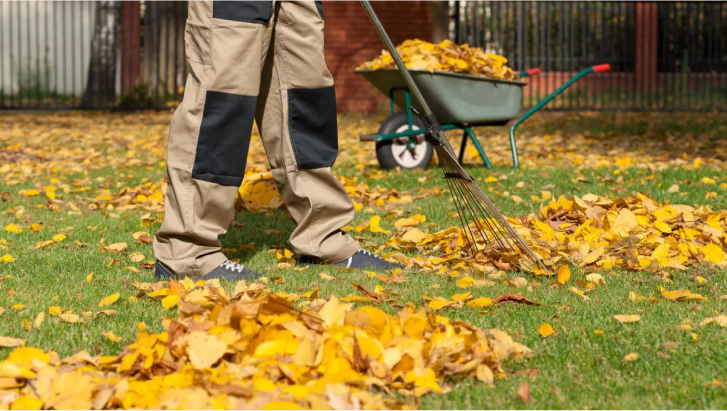 Tree Service and Stump Grinding - Фото 2