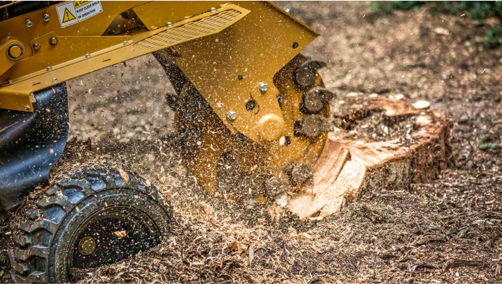 Tree Service and Stump Grinding - Фото 6