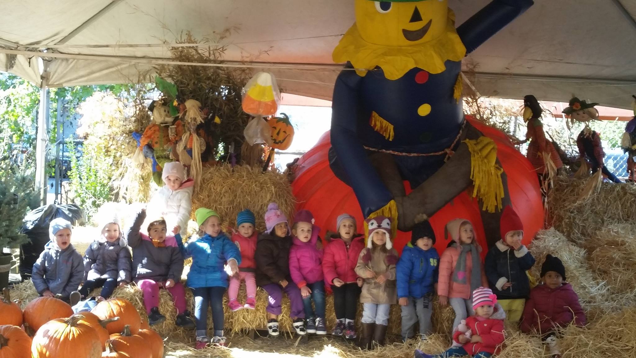 Przedszkola-Bolek i Lolek Daycare - Zdjęcie 4