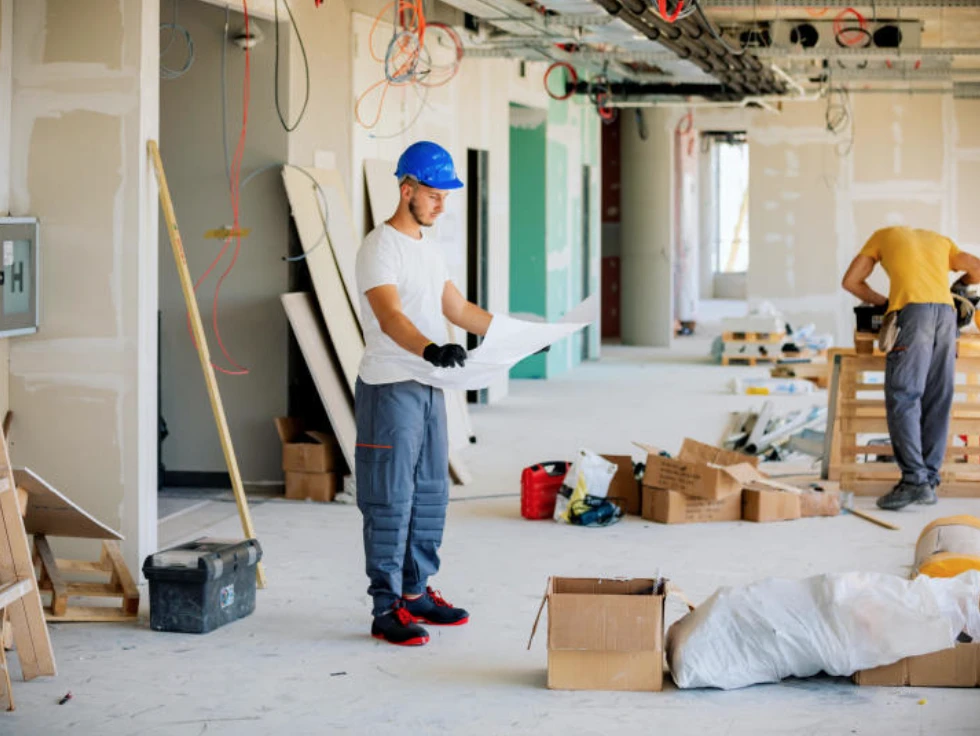 Palace painters