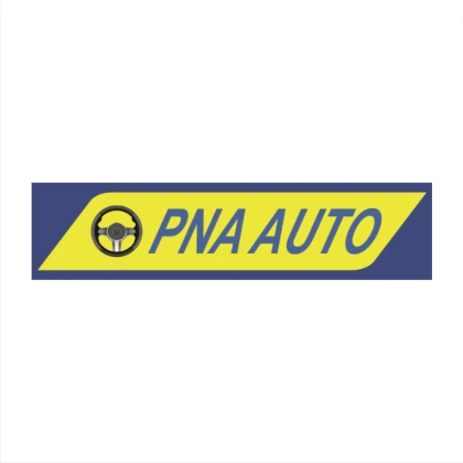 PNA AUTO INC