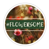 Flowersome