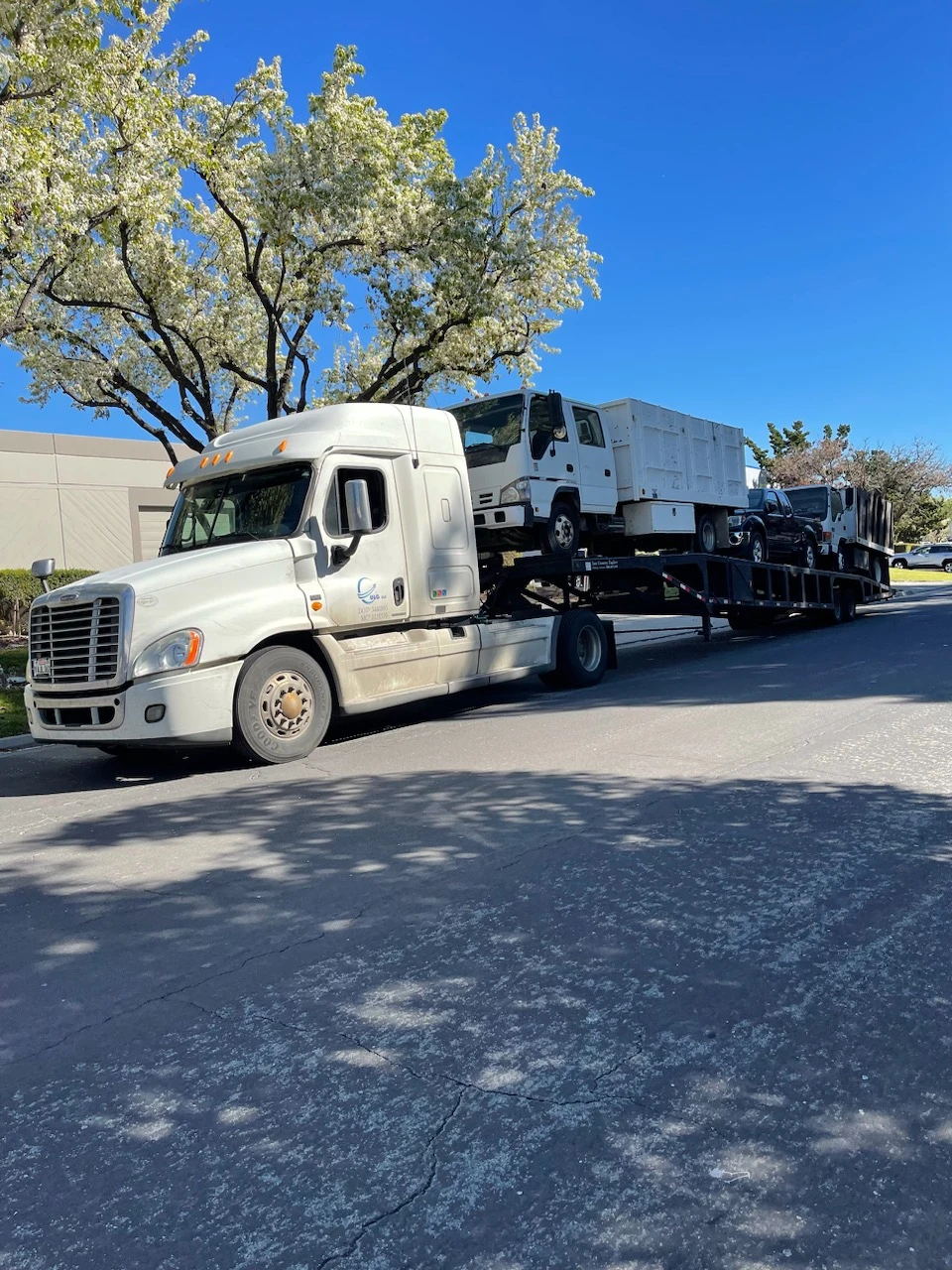 Truck Freightliner Cascadia 2009