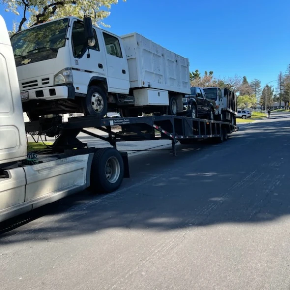 tile - Фото 5