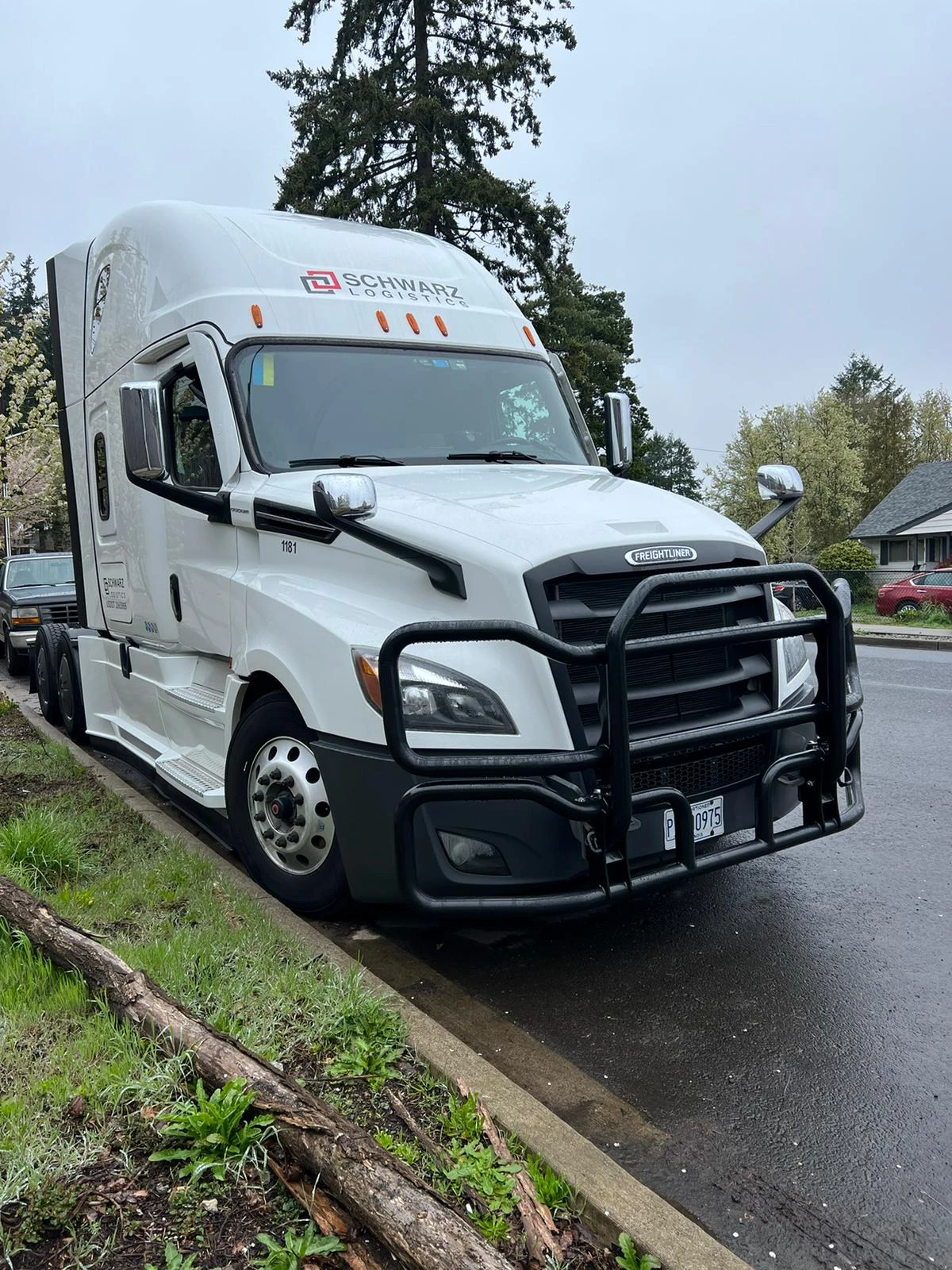 Selling my Truck Freightliner Cascadia 2020