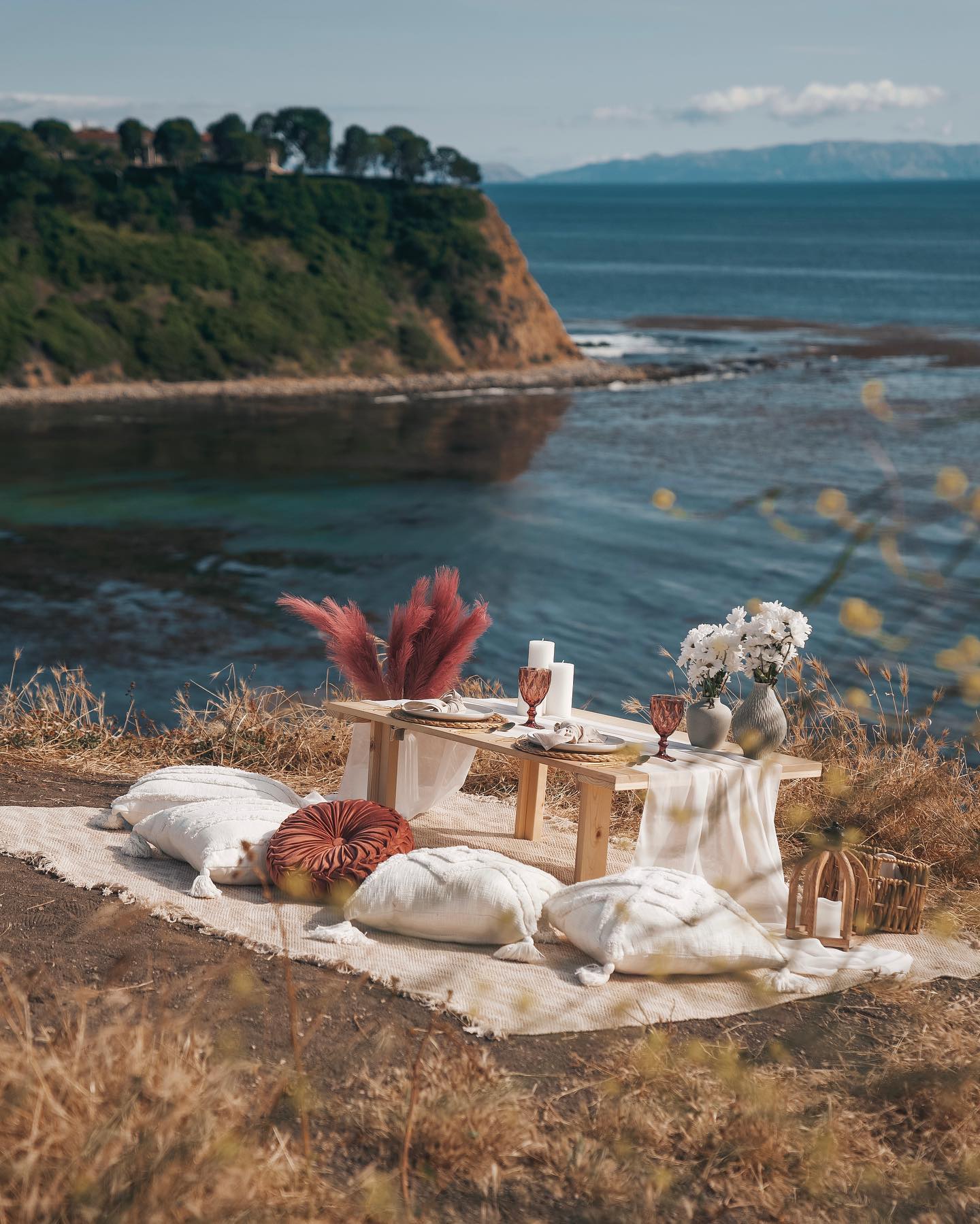 WOW Picnic - Фото 5
