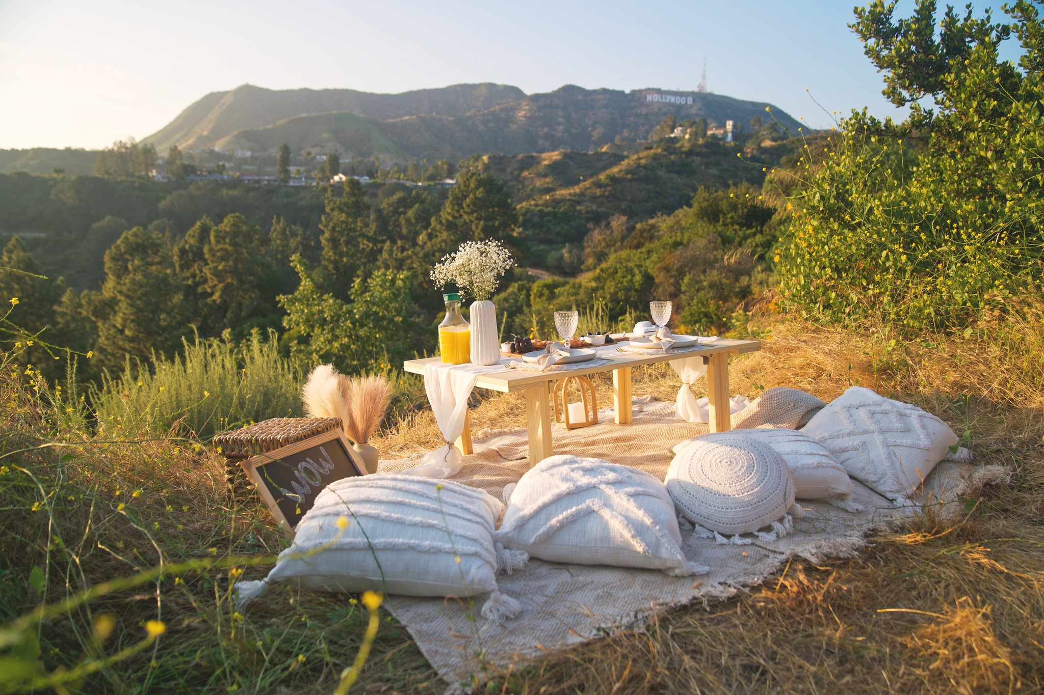 WOW Picnic - Фото 6