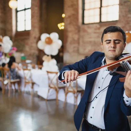 professional-violinist-photo