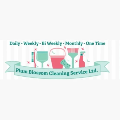 cleaning-chicago-il-photo