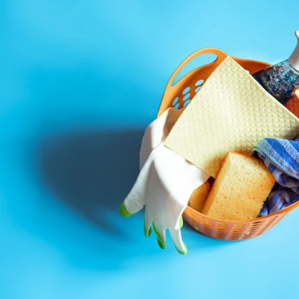 maria-cleaning-1-photo