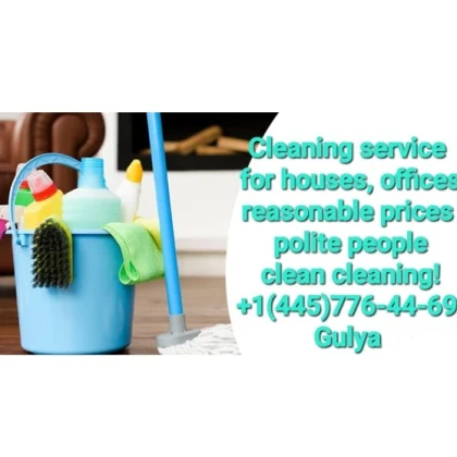 Gulya, Cleaning Service
