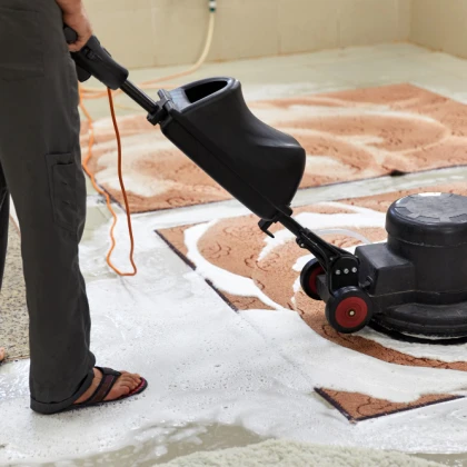 photo-emle-carpet-cleaning