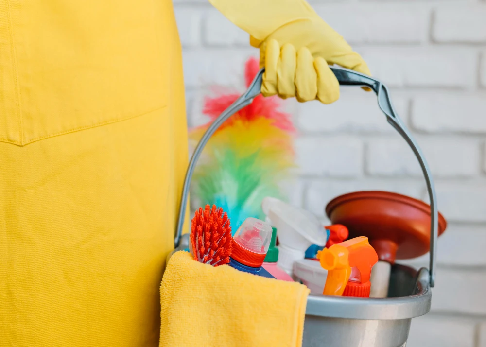 Tereza, Cleaning Services