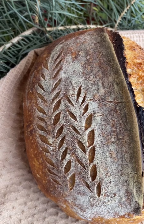 Bunny’s Bread - Фото 4