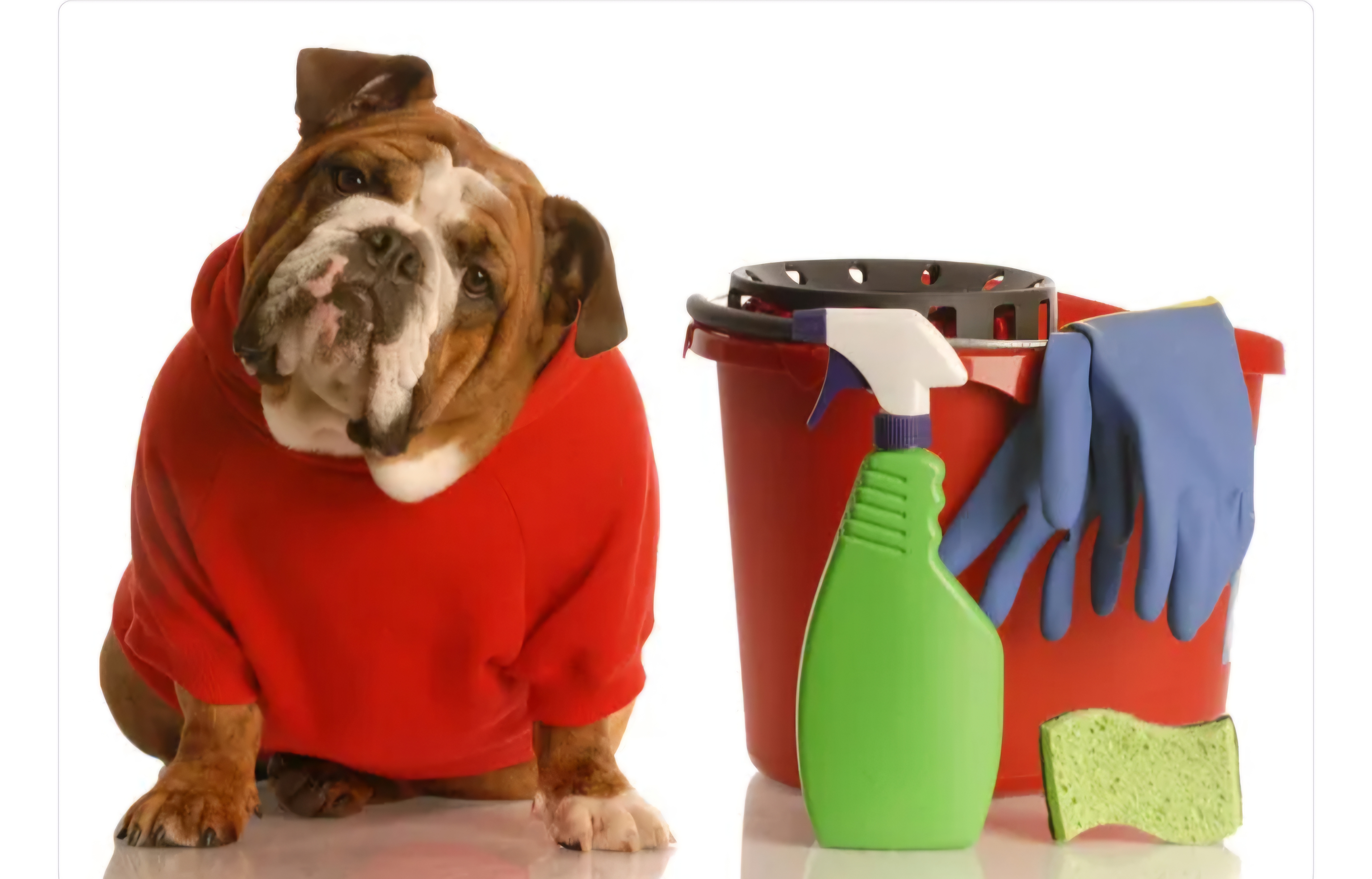 Клінінг Прибирання/Cleaning quickly - Фотографія 3