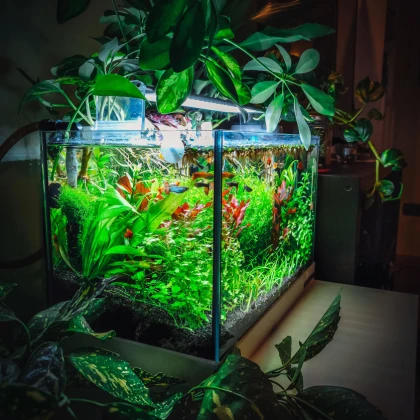 ustanovka-dekorativnogo-akvariuma-photo