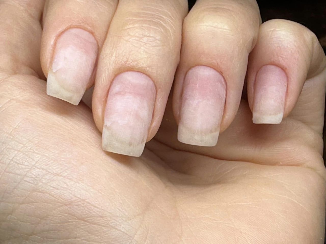 Anna, Russian Manicure - Фото 5