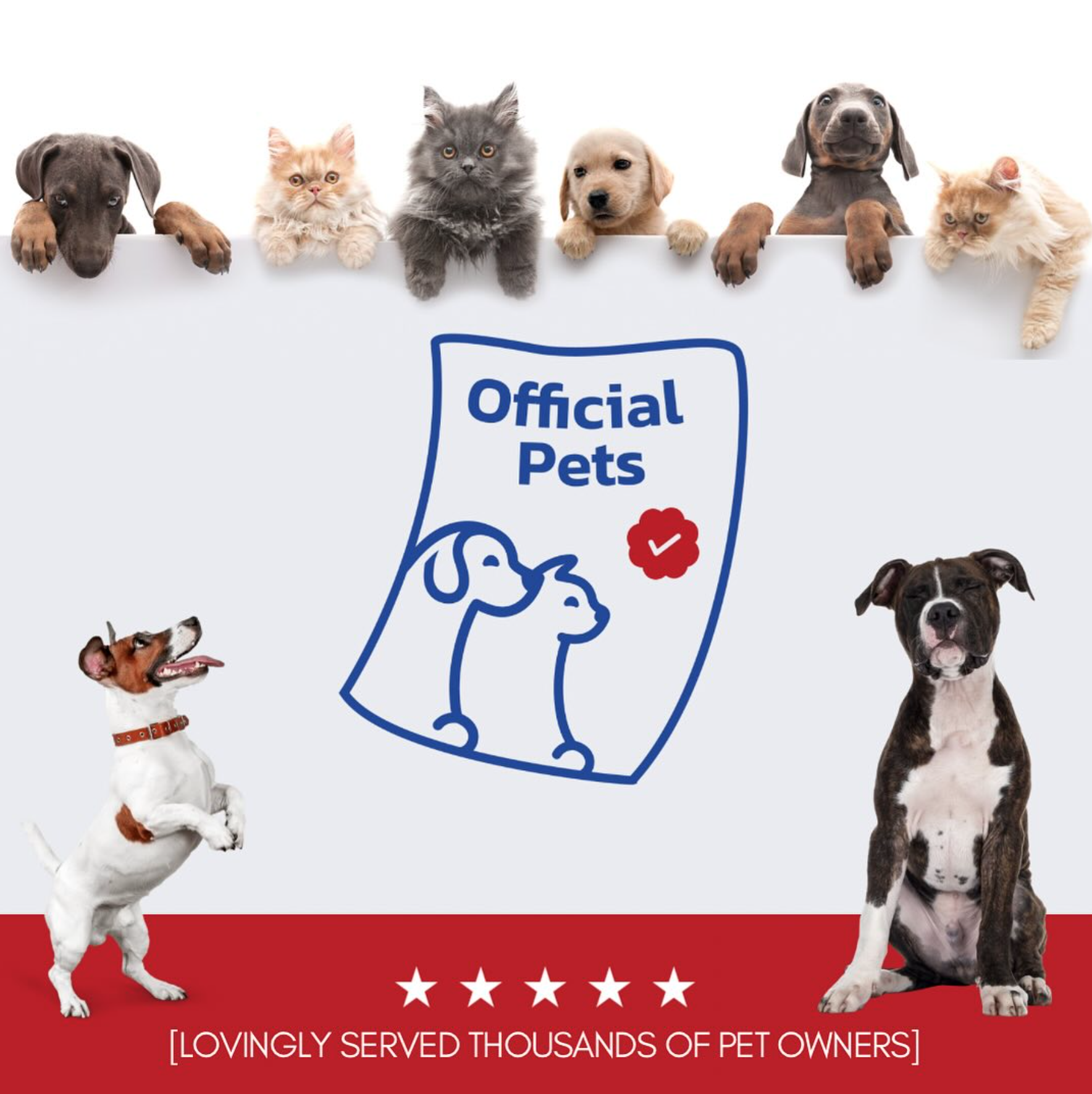 Physician Service Dog | Emotional Support Animal - Фотографія 2