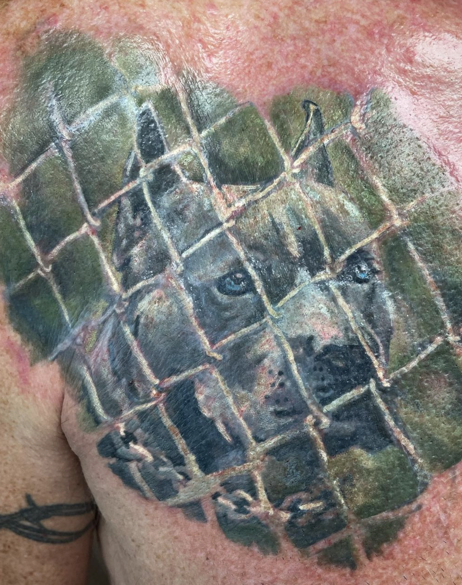 Iggybor’s Tattoo - Фото 7