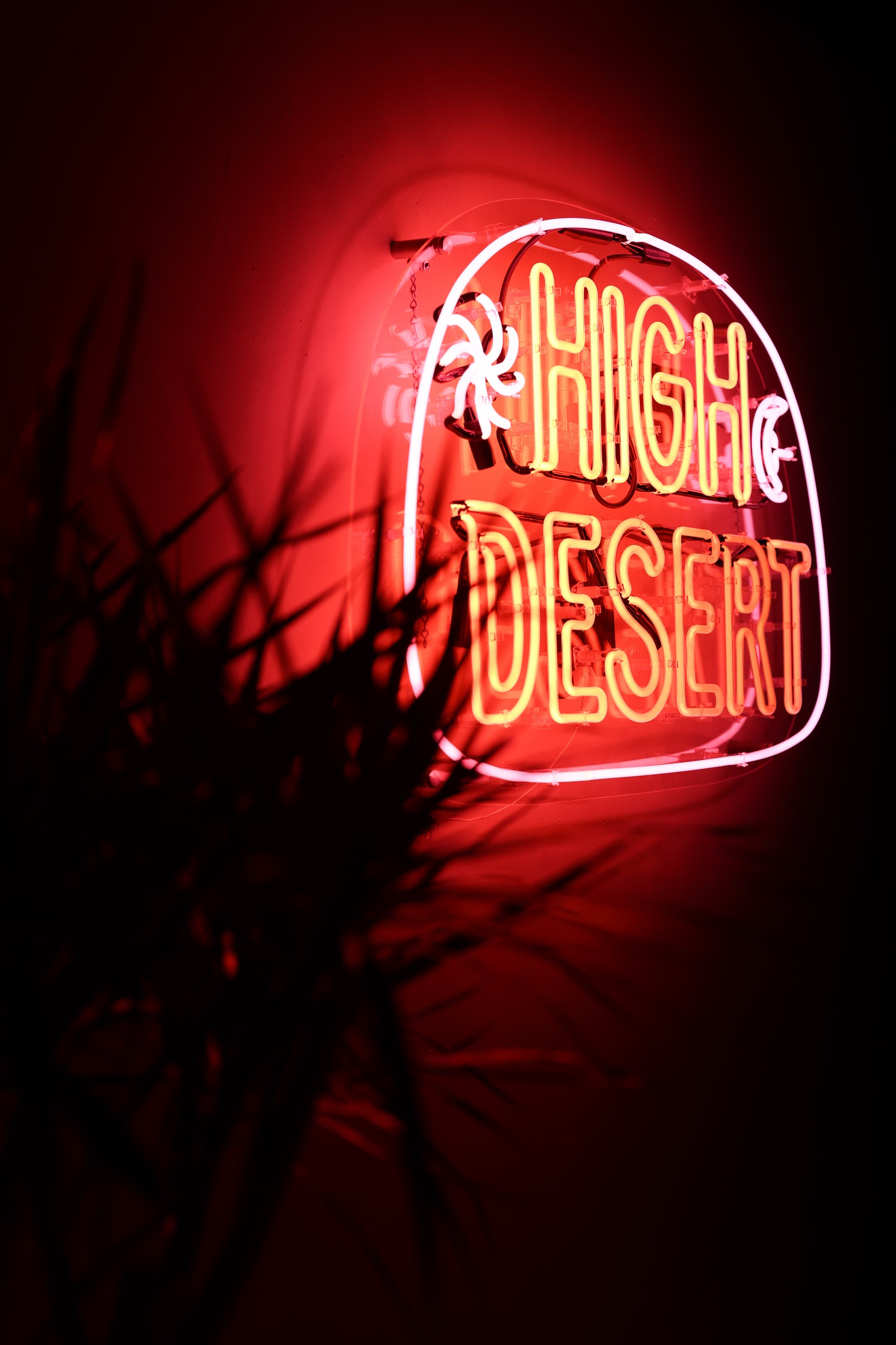 HIGH DESERT - Эксклюзивный частный клуб с неповторимой атмосферой и уникальными предложениями - Фото 5
