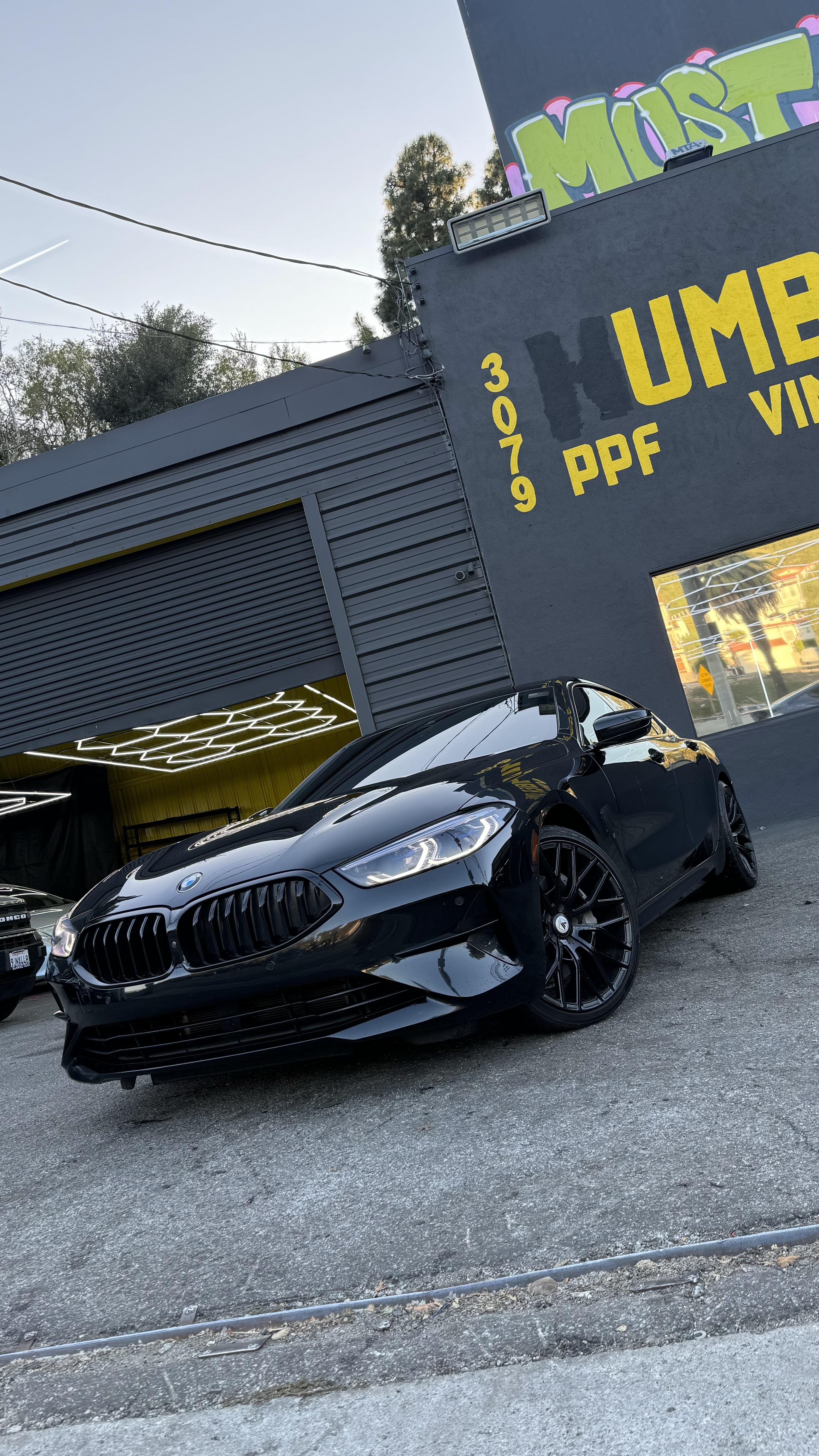Обучение PPF, Tint, Vinyl - Фото 11