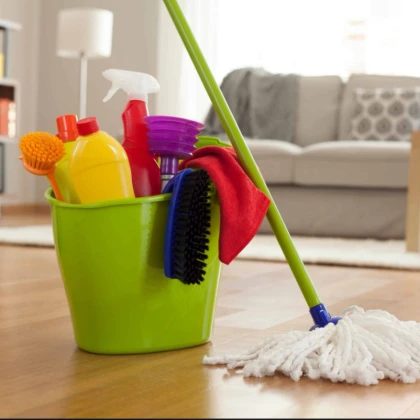 photo-experienced-cleaner
