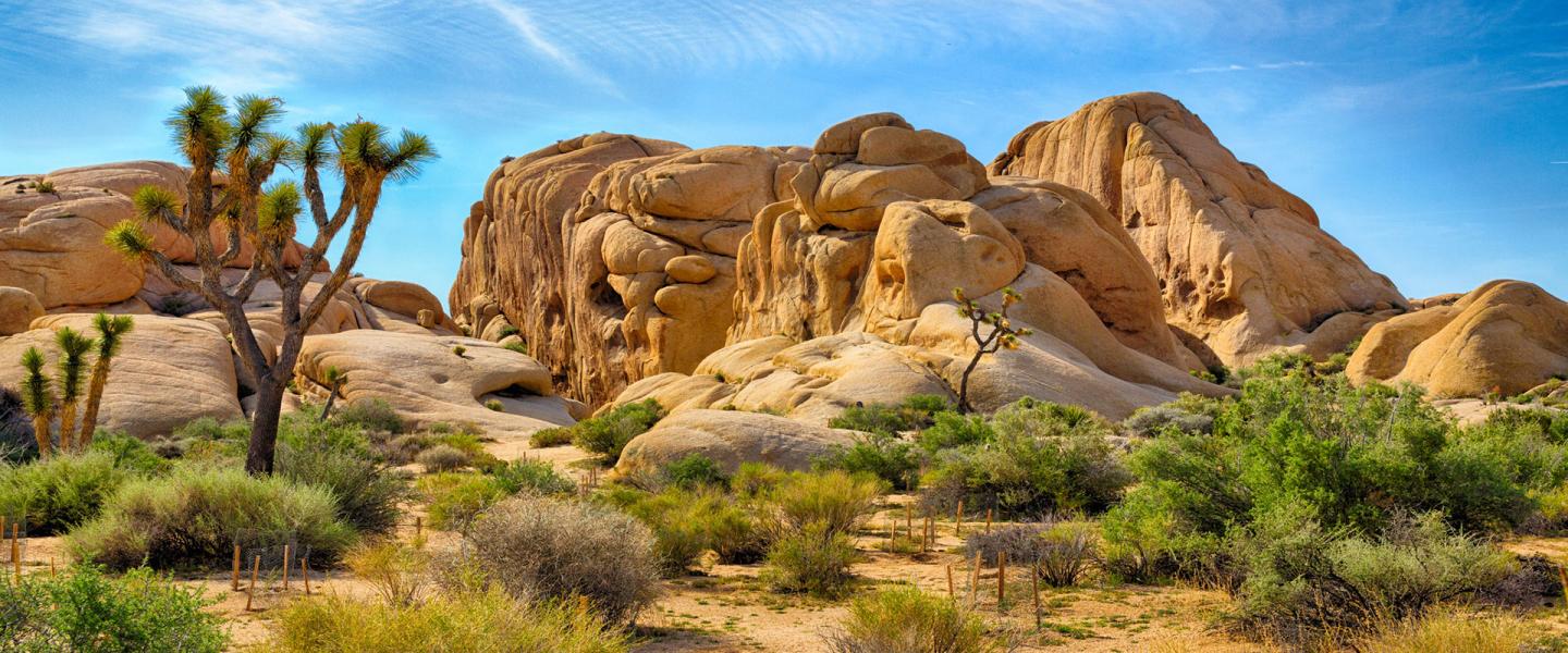 Индивидуальные Туры в Лос-Анджелесе и по Калифорнии - Фото 5
