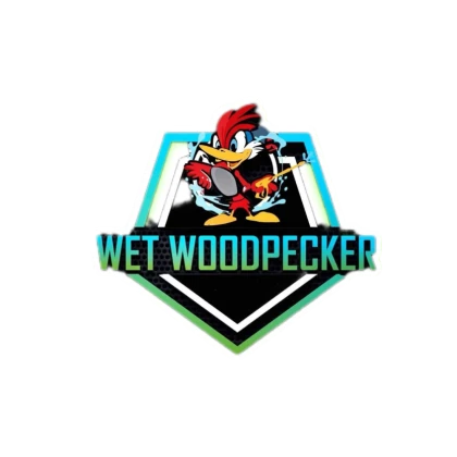 photo-wet-woodpecker-handyman-and-po