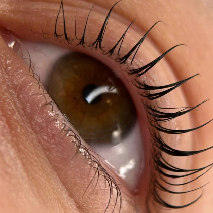 photo-brovi-i-resnitsi-west-hollywood