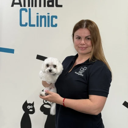 photo-animal-clinic-international
