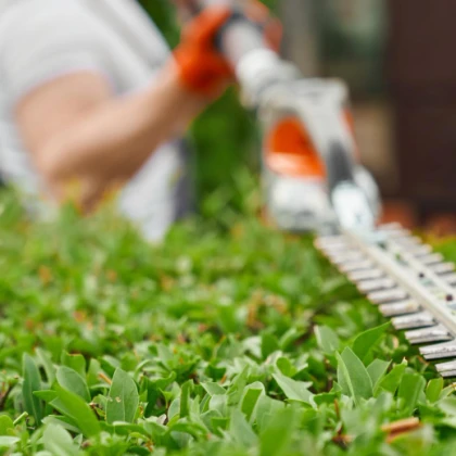 landshaftnie-raboti-lyuboy-slozh-photo
