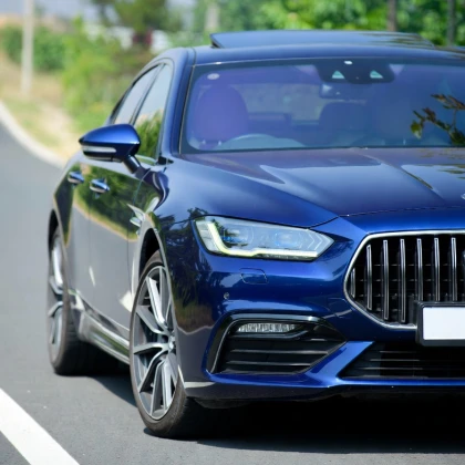 photo-ishtu-naparnika-ili-kompanyona