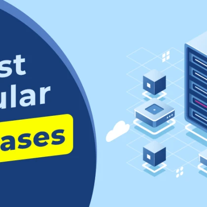 photo-bazy-danych-w-usa-i-na-caym