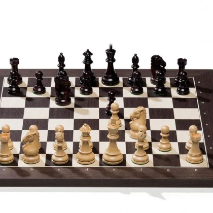 photo-aleksandr-trener-po-shahmatam-1