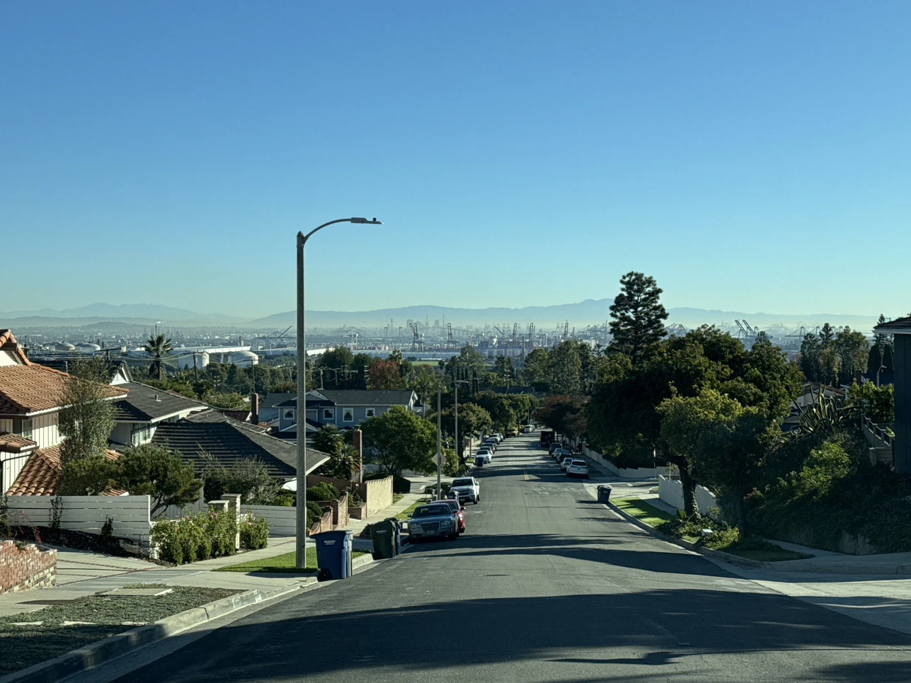 Алексей-avatar