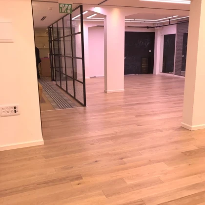 tantsevalynie-poli-parket-l-photo