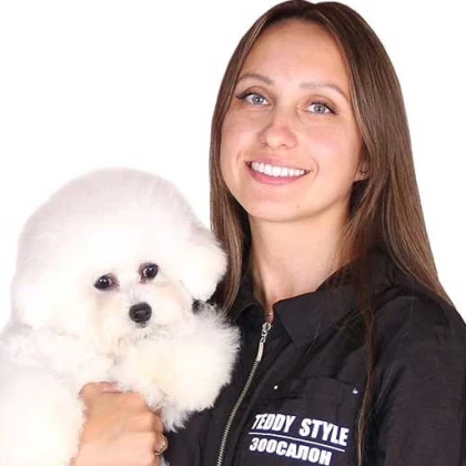 photo-gruming-salon-teddy-style